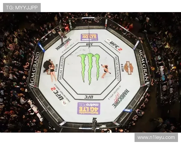 UFC KO率冠军揭秘：最具爆发力选手强势登场