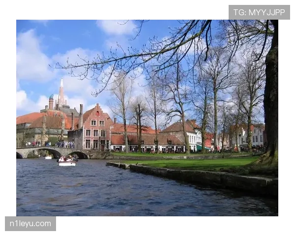 沙勒罗瓦整体实力